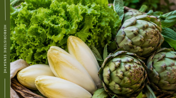 Retour de marché avec des légumes des la famillle des astéracées - endive, laitue et artichaut - Herboristerie Sensathé